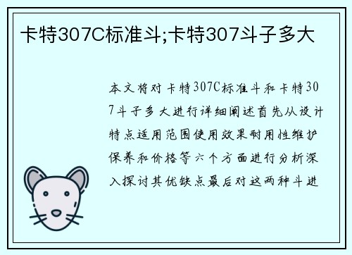 卡特307C标准斗;卡特307斗子多大